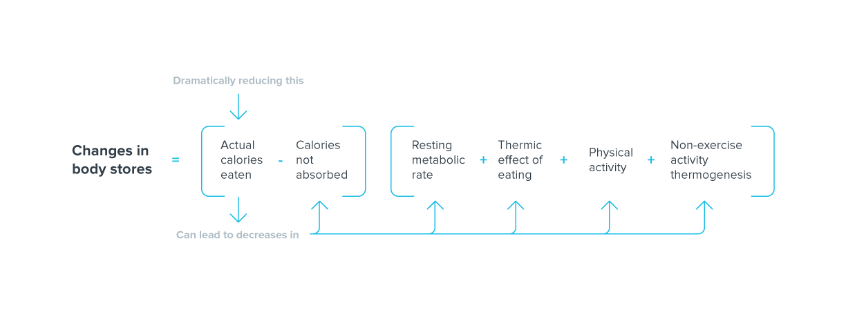 changes in body stores equation 3