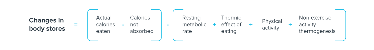 changes in body stores equation