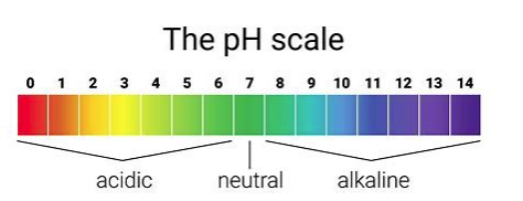 the ph scale