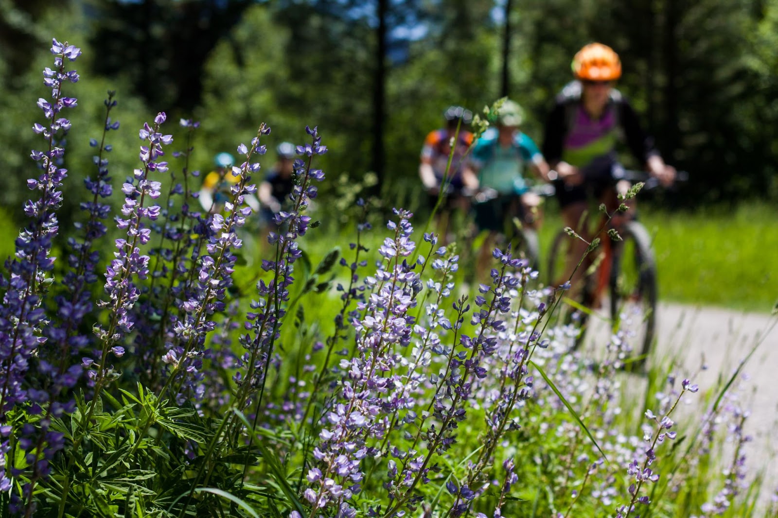 Mountain biking family riding outside of Missoula, Montana